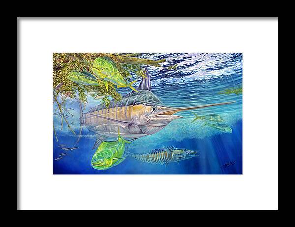 Blue Marlin Framed Print featuring the painting Big Blue Hunting In The Weeds by Terry Fox