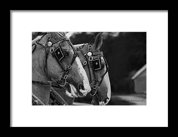 Black And White Framed Print featuring the photograph Big Boys by Denise Romano