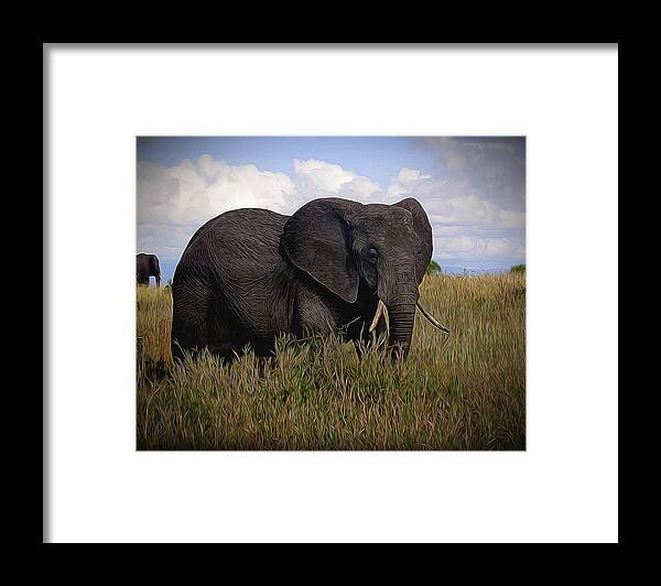 Elephant Framed Print featuring the photograph Big One by Roni Chastain