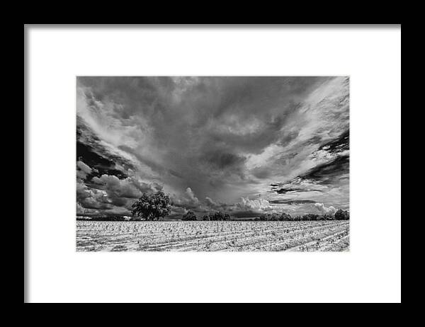 July Framed Print featuring the photograph Big Sky Summer NC by Jim Moore