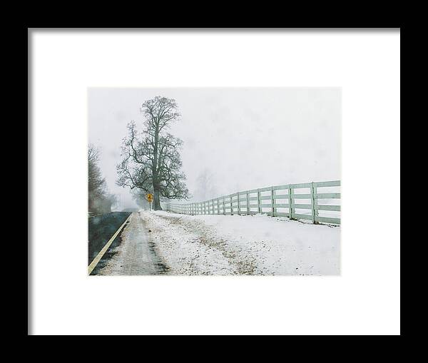 Nature Framed Print featuring the photograph Big Tree in Snow Storm by Louis Dallara