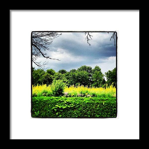 Summer Framed Print featuring the photograph Bike Ride by Dwight Darling