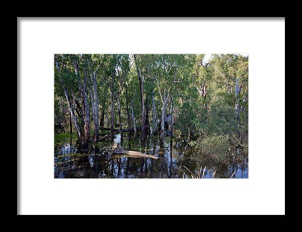 Water Framed Print featuring the photograph Billabong by Carole Hinding