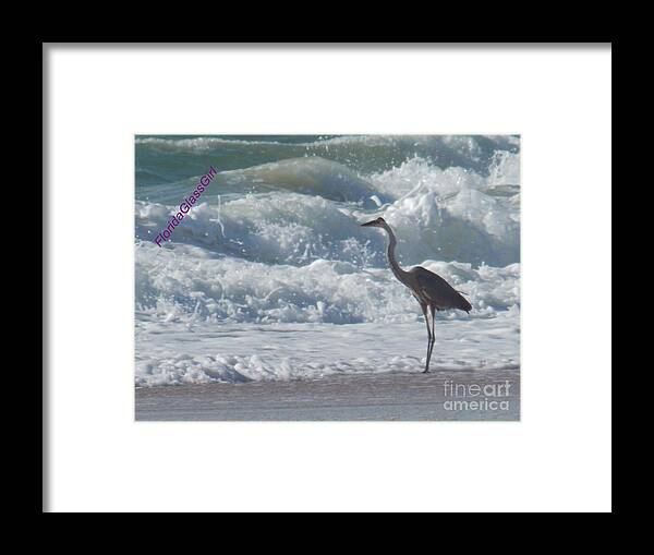 Beach Framed Print featuring the photograph Bird in Surf by Coleen Stoike