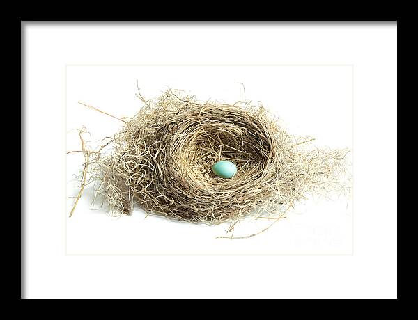 Art Framed Print featuring the photograph Bird Nest 2 by Jo Ann Tomaselli