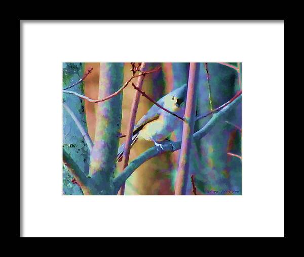 Bird Of Another Color Framed Print featuring the painting Bird Of Another Color by Debra   Vatalaro