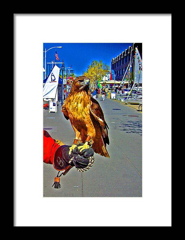 The Story Of Joe And Floyd Framed Print featuring the digital art Bird of Prey at Boat Show 2013 by Joseph Coulombe