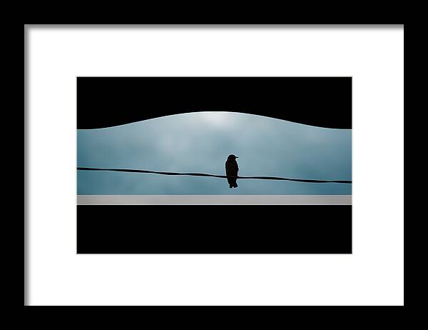 Conceptual Framed Print featuring the photograph Bird On A Wire by Steven Michael