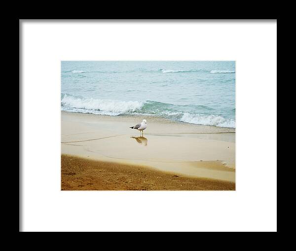 Beach Bird Framed Print featuring the photograph Bird On The Beach by Milena Ilieva