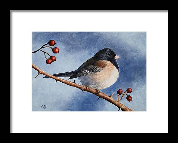 Bird Framed Print featuring the painting Bird Painting - Dark-eyed Junco by Crista Forest