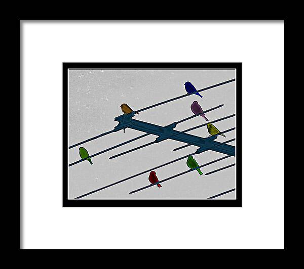 Birds Framed Print featuring the photograph Bird Reception by Jackson Pearson