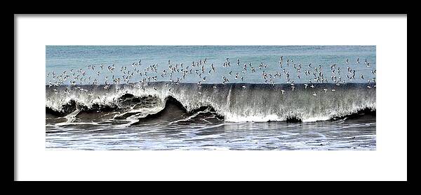 Coast Framed Print featuring the photograph Birds and Waves by Rosemary Bliss