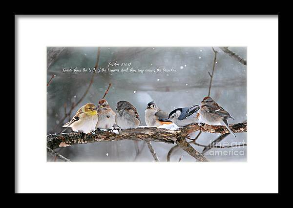  Framed Print featuring the photograph Birds on a Branch by Lila Fisher-Wenzel