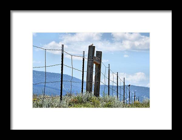 Landscape Framed Print featuring the photograph Birds on the Fence by Jacqui Binford-Bell