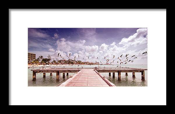 Animal Themes Framed Print featuring the photograph Birds Scatter by Photo By Dan Goldberger
