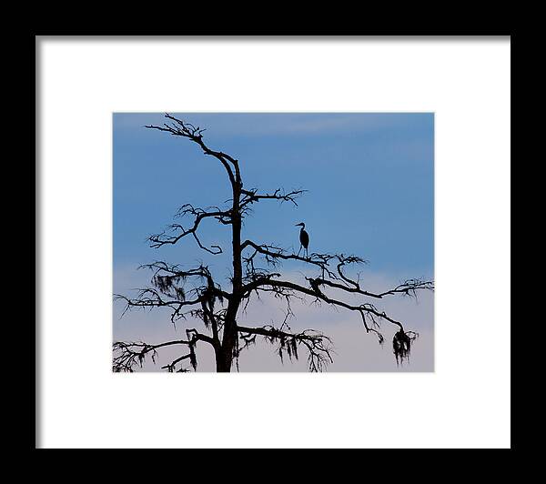 Silhouette Framed Print featuring the photograph Black and Blue by Alan Raasch