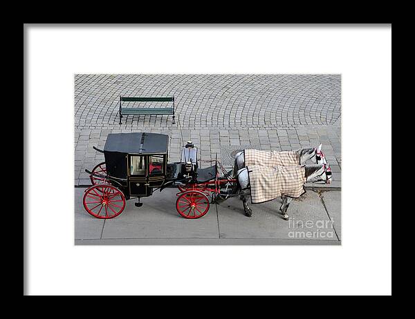 Carriage Framed Print featuring the photograph Black and red horse carriage - Vienna Austria by Imran Ahmed