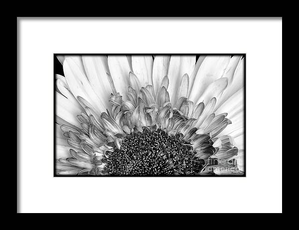 Flower Framed Print featuring the photograph Black and White Flower by Susan Cliett