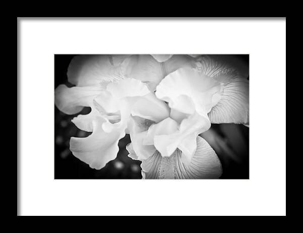 Hibiscus Framed Print featuring the photograph Black and White Hibiscus by Kara Stewart