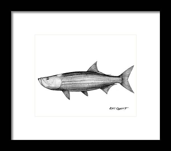 Tarpon Framed Print featuring the drawing Black and white tarpon by Steve Ozment