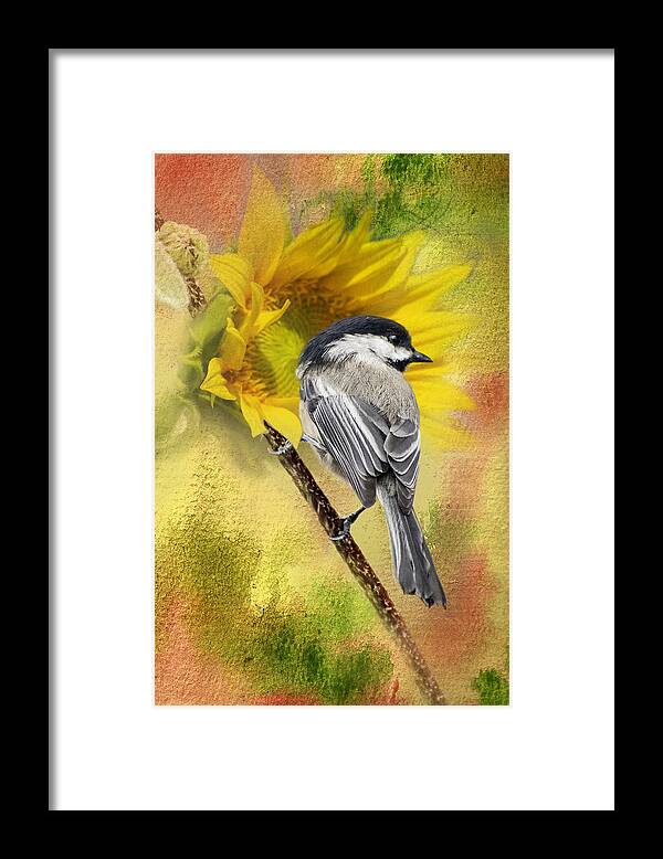 Bird Framed Print featuring the photograph Black Capped Chickadee Checking Out The Sunflowers by Diane Schuster