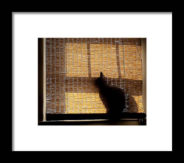 Silhouette Framed Print featuring the photograph Black Cat by Rick Mosher