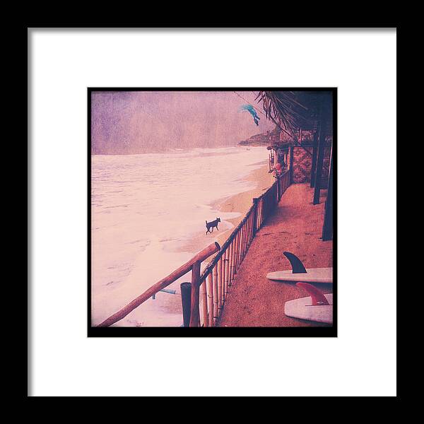 Black Framed Print featuring the photograph Black Dog by Candace Fowler