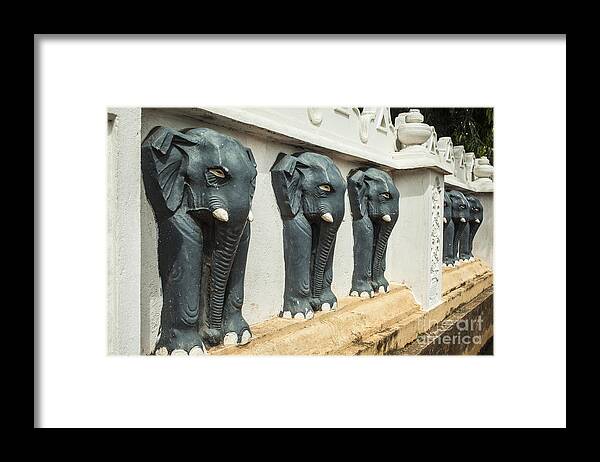 Elephants Framed Print featuring the photograph Black elephants on temple wall by Patricia Hofmeester