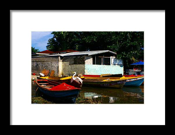 Jamaica Framed Print featuring the photograph Black River Crane by Jon Emery