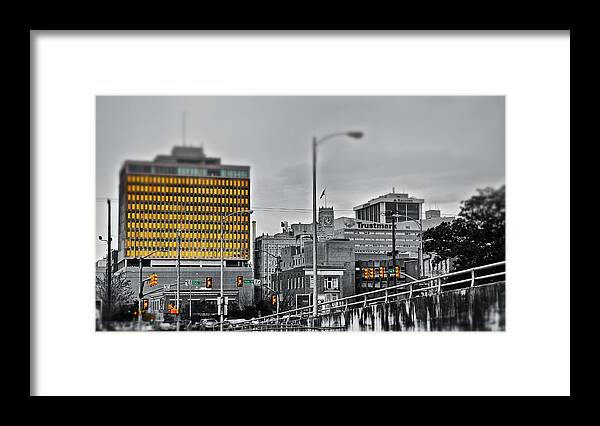 Downton Jackson Framed Print featuring the photograph Black White and Gold by Jim Albritton