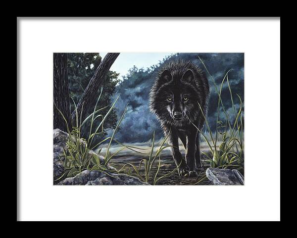Wolf Framed Print featuring the painting Black Wolf Hunting by Lucie Bilodeau