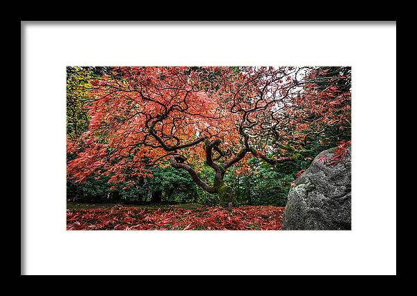 Blanket Of Leaves Framed Print featuring the photograph Blanket Of Leaves by Wes and Dotty Weber