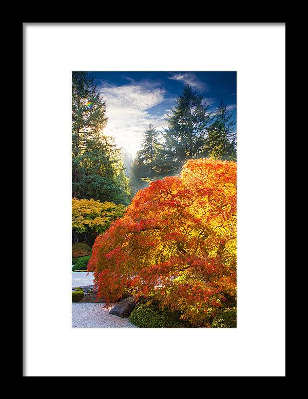 Oregon Fall Colors Framed Print featuring the photograph Bliss by Kunal Mehra