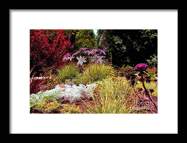 Flowers Framed Print featuring the photograph Blithewold Gardens Bristol Rhode Island by Tom Prendergast