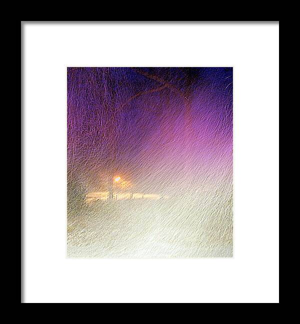 Blizzard Framed Print featuring the photograph Blizzard by Pamela Hyde Wilson