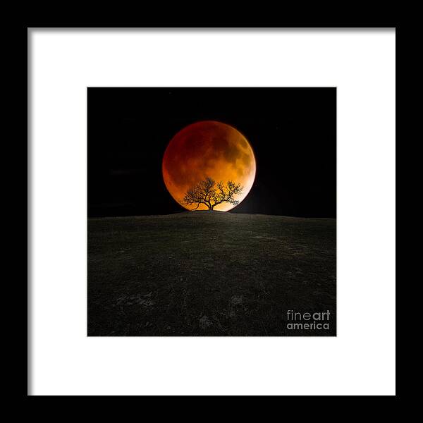 4-15-2014 Framed Print featuring the photograph Blood Moon by Aaron J Groen