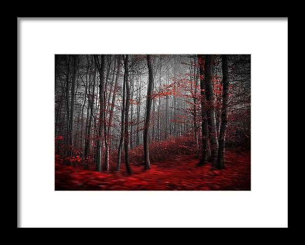 Landscape Framed Print featuring the photograph Bloody River by Samanta