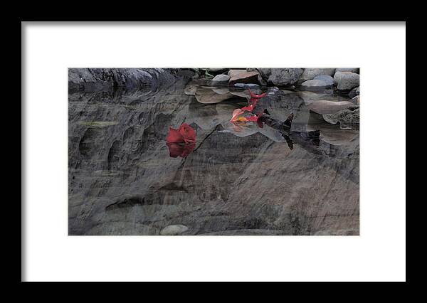  Framed Print featuring the photograph Blossom Rain 39 by Georg Kickinger