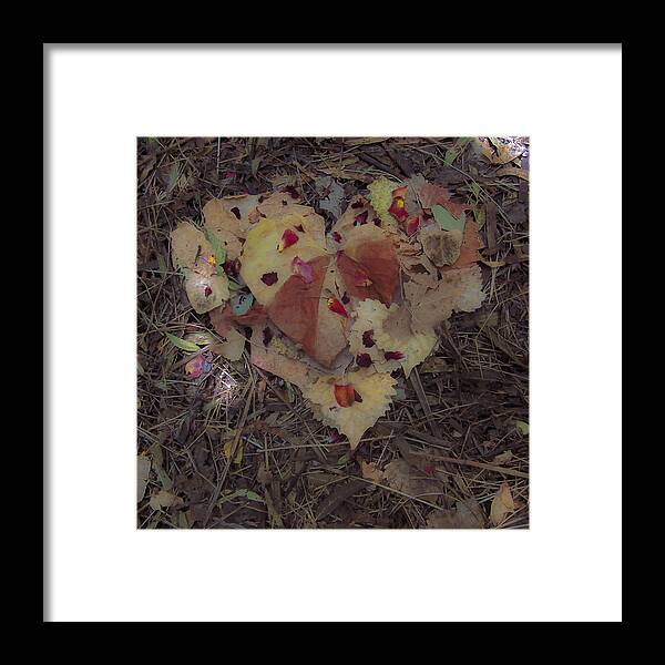 Heart; Petals; Leaves; Grasses; By A Glade In Sacramento; Framed Print featuring the photograph Blossom Rain 56 by Georg Kickinger