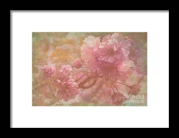 Spring Flowering Trees Framed Print featuring the photograph Blossoms Splender by Arlene Carmel