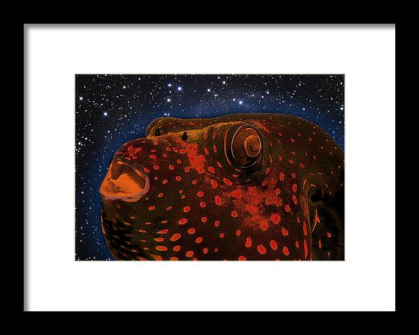 Composite Framed Print featuring the photograph Blowfish by Jim Painter