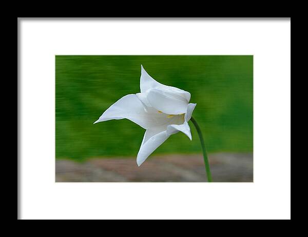 Long Hill Framed Print featuring the photograph Blowin' by Liz Mackney
