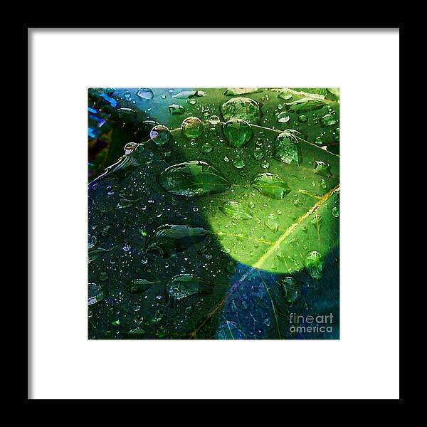 Waterdrop Framed Print featuring the photograph Blue and Green - Waterdrops Series by Patricia Strand