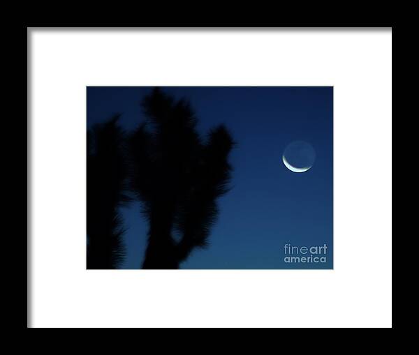 Night Framed Print featuring the photograph Blue by Angela J Wright