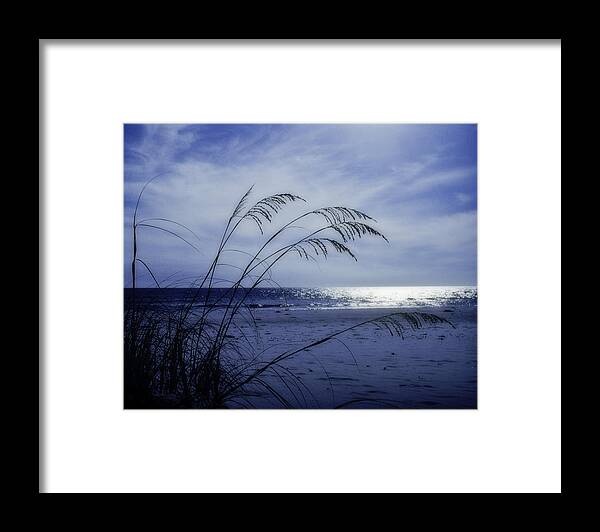 Blue Framed Print featuring the photograph Blue Beach by David and Carol Kelly