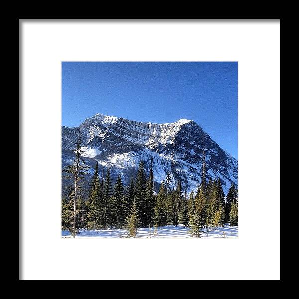 Mountains Framed Print featuring the photograph Blue Bird Day In The by Stephen Schmuland
