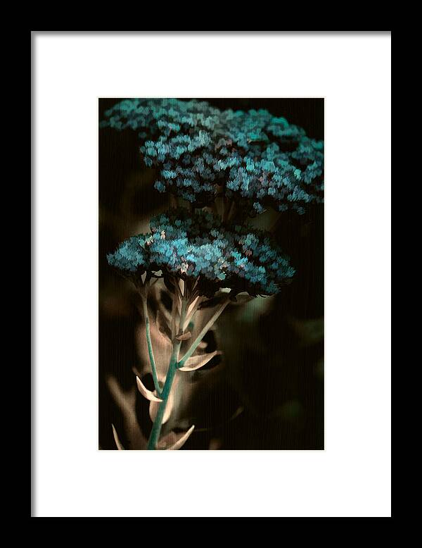 Digital Painting Framed Print featuring the photograph Blue Bouquet by Bonnie Bruno