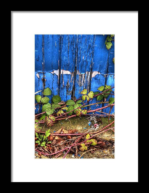 Blue Framed Print featuring the photograph Blue door by Spikey Mouse Photography