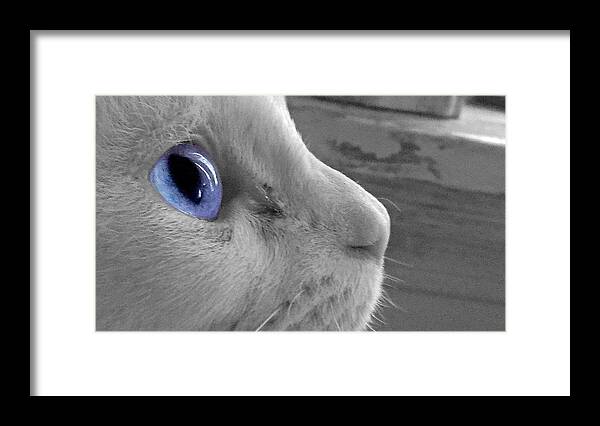 Blue Eye Framed Print featuring the photograph Blue Eye by Dark Whimsy