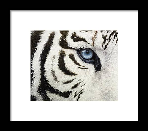 Tiger Framed Print featuring the painting Blue Eye by Lucie Bilodeau